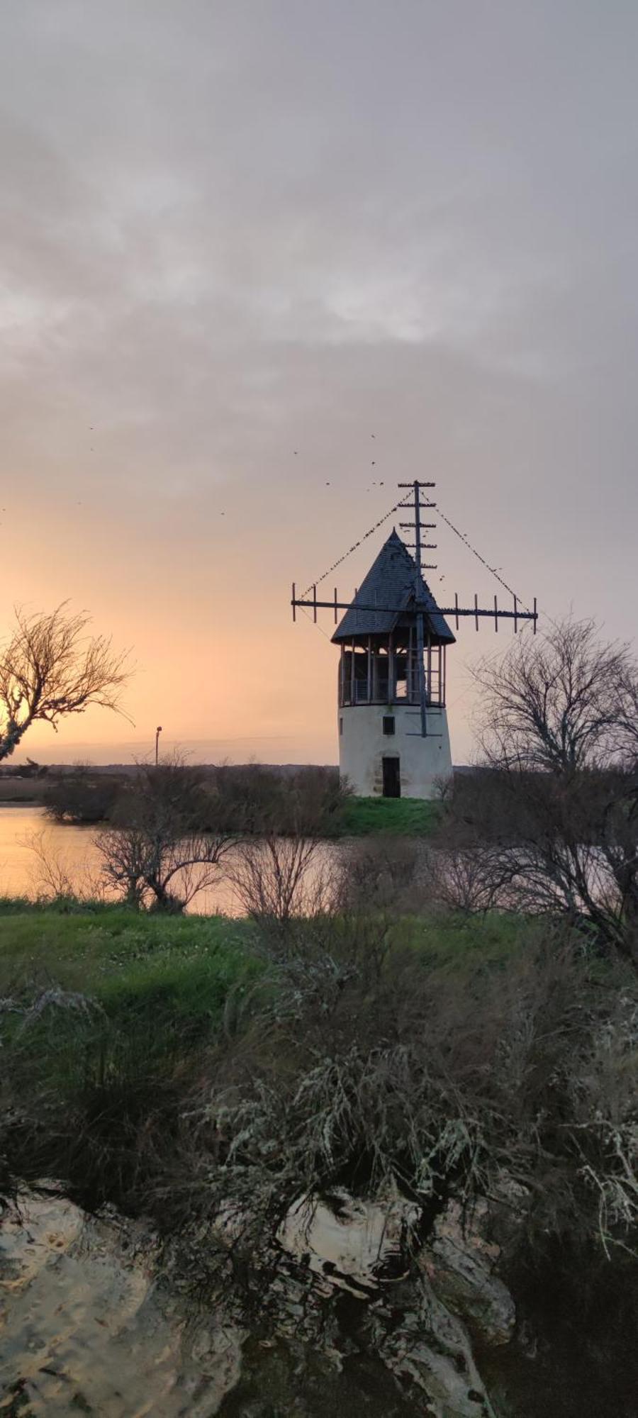 شقة Les Oliviers L'Ile-d'Olonne المظهر الخارجي الصورة